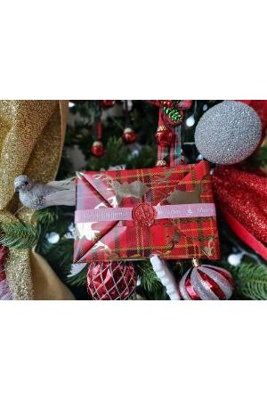 Premium Christmas Gift Wrapping 🎄 by Bran Marion